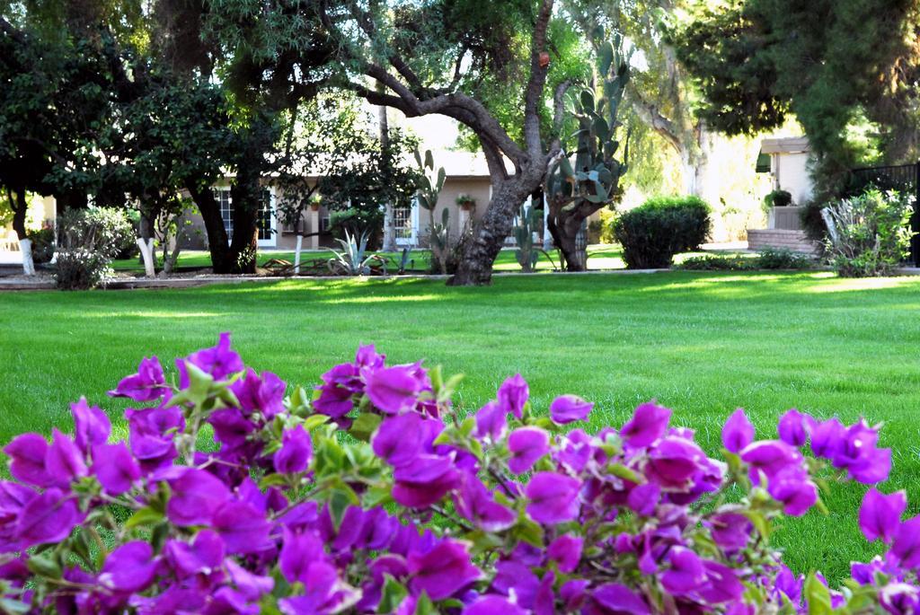 Smoketree Resort And Bungalows Scottsdale Exterior foto